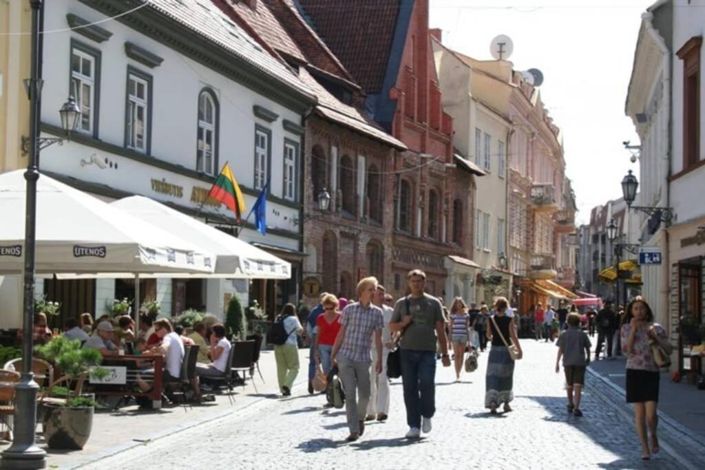 Private Sauna & 4 Bedrooms Old Town Rooftop Apartment VNO Exterior foto