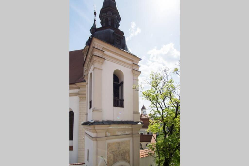 Private Sauna & 4 Bedrooms Old Town Rooftop Apartment VNO Exterior foto